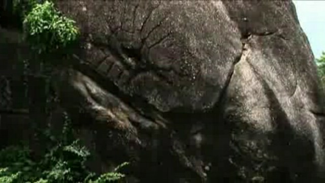 ����� ������� - ������