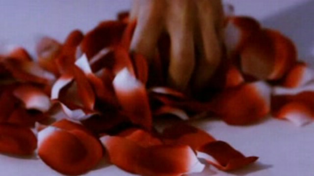 Life Love Lust / �����, ������, �������