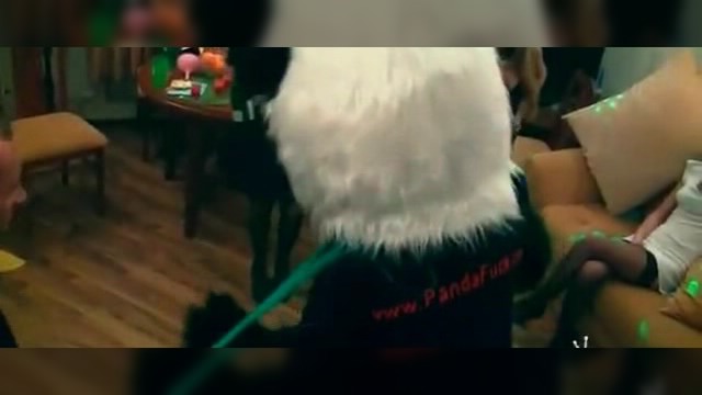 ������������ �����������