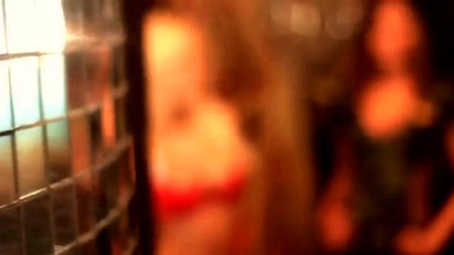 ����� ������� ����������� � 23 �������