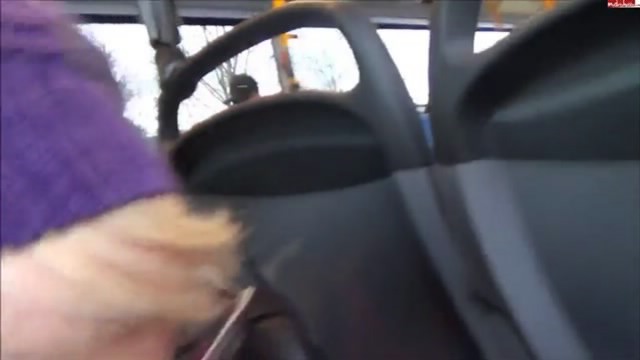 ��� ����� ���������� � ��������