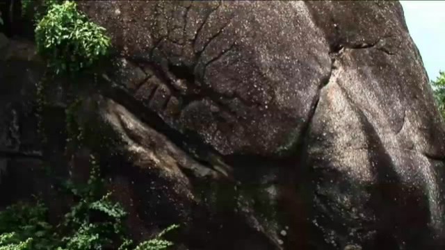 ���� �������-������