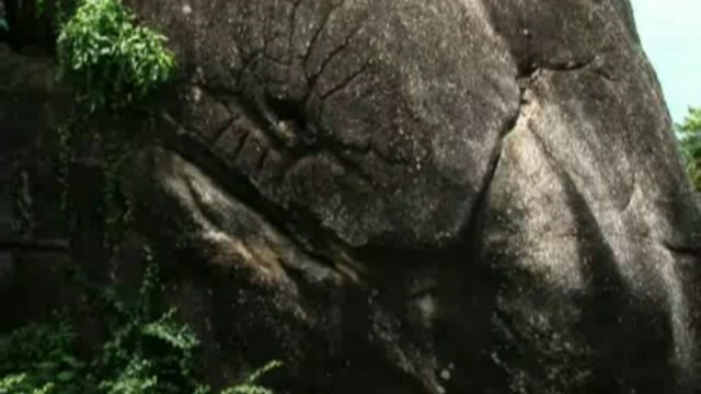 �������� ������� - ������
