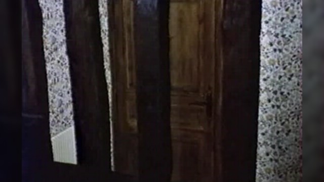 XXX - ��������� ������������ (1981) VHSRip